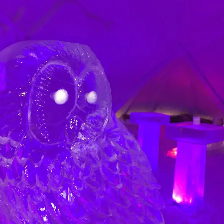 Snowlounge Aurorahut Glass Igloos & Ice Hotelli