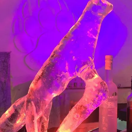 Snowlounge Aurorahut Glass Igloos & Ice Hotelli 3*